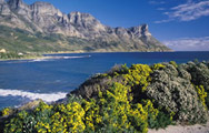 Gordon's Bay 