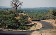Kruger National Park